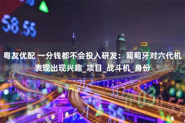 粤友优配 一分钱都不会投入研发：葡萄牙对六代机表现出现兴趣_项目_战斗机_身份