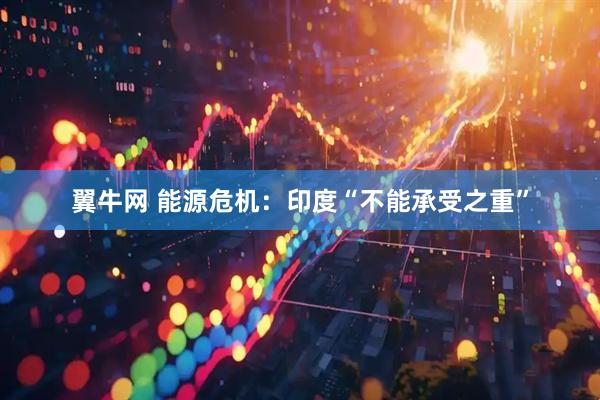 翼牛网 能源危机：印度“不能承受之重”