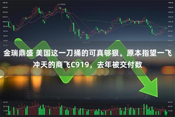 金瑞鼎盛 美国这一刀捅的可真够狠。原本指望一飞冲天的商飞C919，去年被交付数